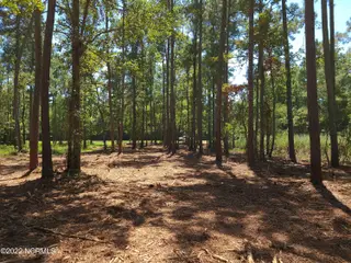 6 Ashton Drive, Bath, NC 27808 – photo 18: 20220818_135516