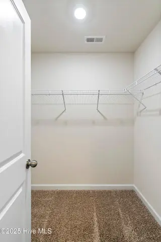 317 James Hedrick Court, Jacksonville, NC 28540 – photo 22: primary closet