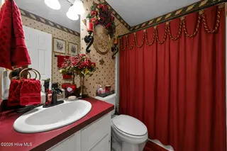 2917 Ellsworth Drive, Greenville, NC 27834 – photo 16: master bath