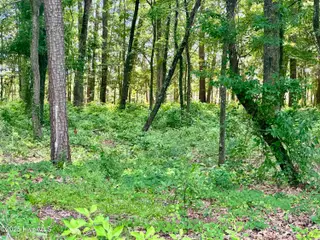 Lot 70 70 Winfield Lane, Belhaven, NC 27810 – photo 12: IMG_6681