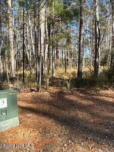 8 8 Pitch Kettle Court, Belhaven, NC 27810 – photo 11: small_photo (9)