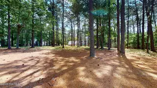 210 Mourning Dove Lane, Goldsboro, NC 27534 — 3-bedroom home in Deerwood, Goldsboro, NC, photo 14 of 64: JM-210-Mourning-Dove-Lane-04262026_13341