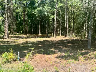 Lot 3 Elm Street, Belhaven, NC 27810 – photo 2: IMG_7290