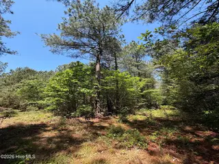 00 Tartt's Mill Road, Wilson, NC 27893 – photo 11: 9