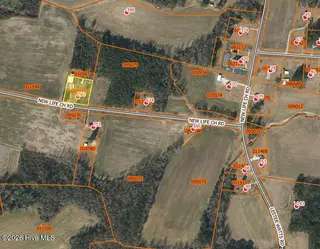 782 New Life Church Road, Tabor City, NC 28463 – photo 4: Parcels