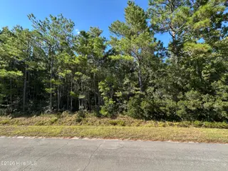 000 Willis Farm Tract-2 Road, Newport, NC 28570 — lot, Newport, NC, photo 4 of 5: IMG_0066