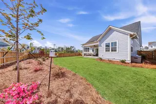 1381 Trisail Terrace, Wilmington, NC 28412 – photo 21: 1381TrisailTerrace-163__grass_379adc1f