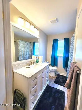 319 Oak Grove Avenue, Greenville, NC 27834 – photo 14: hallbath2