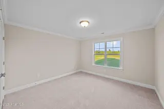 2712 Frances Court, Grimesland, NC 27837 – photo 23: 47-web-or-mls-DSC_5411
