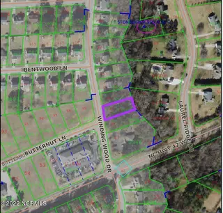 201 Winding Wood Drive, Clayton, NC 27520 – photo 1: aerial
