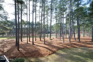 53 Glasgow Drive, Pinehurst, NC 28374 – photo 19: DSC_0775