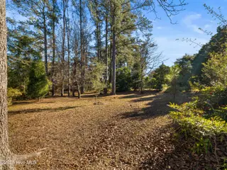 6101 Albatross Drive, New Bern, NC 28560 – photo 12: 025A1875
