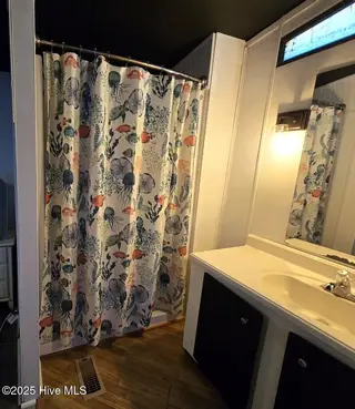 328 Blue Goose Lane, Newport, NC 28570 – photo 10: 328 Blue Goose Ln Shower pic