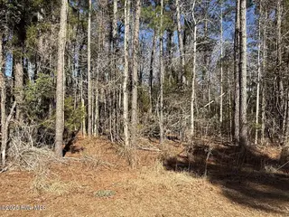 354 Belgrade Swansboro Road, Stella, NC 28582 – photo 19: IMG_9225