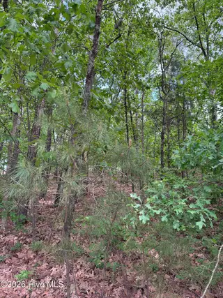 148 4177 Otter Drive, Seven Lakes, NC 27376 – photo 2: IMG_3010