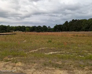 511 Sweet Potato Lane Lot 10, Nashville, NC 27856 – photo 3: lot 10
