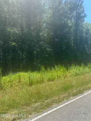 Near 721 Joe Piver Road, Chadbourn, NC 28431 – photo 7: IMG_0184