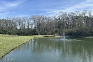 104 Waterfall Lane, Whiteville, NC 28472 – photo 12: Community Pond
