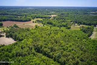 6615 Silver Spoon Road, Clarkton, NC 28433 – photo 9: MLS_Ready (4 of 40)