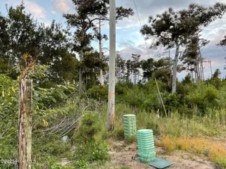 3019 Cedar Island Rd, Cedar Island, NC 28520 – photo 3: approx. property line
