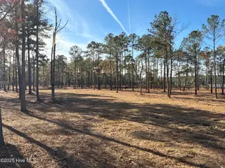 0 Norfleet Shores Road, Belhaven, NC 27810 – photo 20: IMG_0820 2