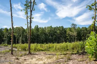 Tbd Dunhams Creek Lane, Carthage, NC 28327 — lot, Carthage, NC, photo 14 of 22