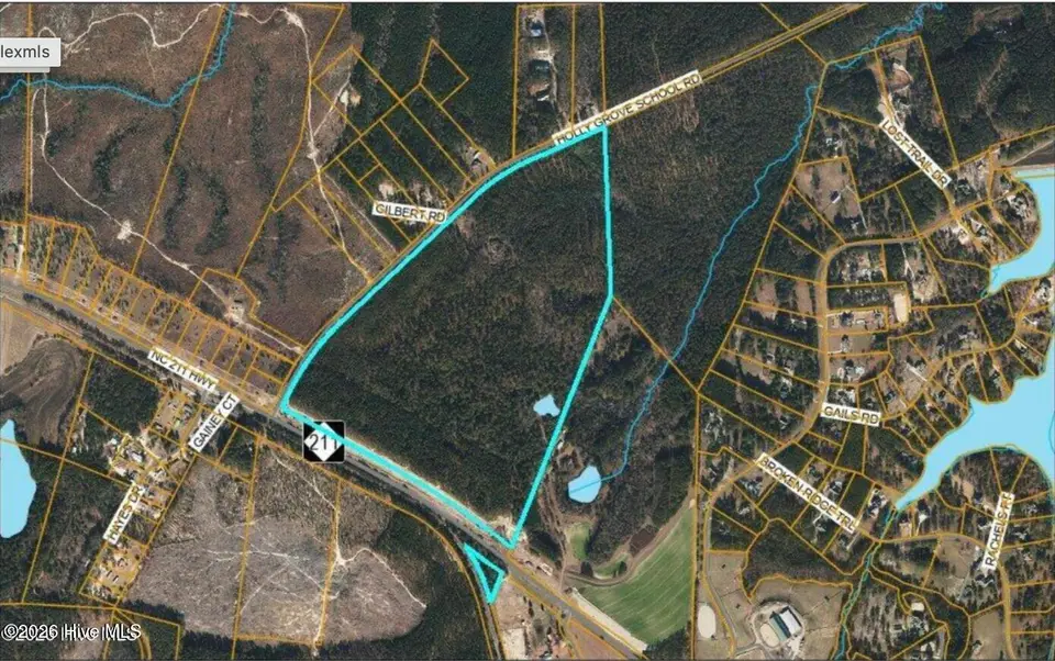 3319 N Nc 211 Highway, Seven Lakes, NC 27376 — lot, Seven Lakes, NC, photo 1 of 1: GIS image