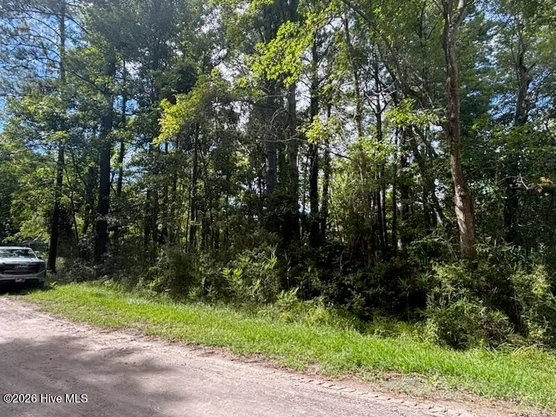 190 Cedar Creek Road, Newport, NC 28570 — lot, Newport, NC, photo 1 of 3: IMG_2697