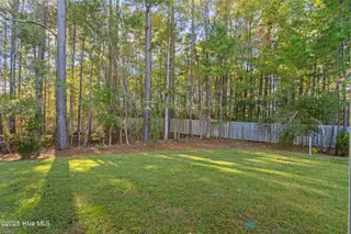 804 Palm Frond Way NW, Calabash, NC 28467 – photo 24: sodded rear view
