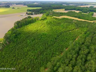 2733 Jim Taylor Road, Stokes, NC 27884 – photo 8: 8-web-or-mls-dji_20260424143956_0024_d