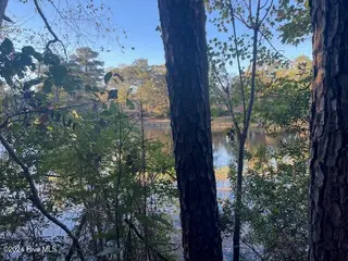 408 Lot 4, La Grange, NC 28551 – photo 4: Back of lot-Lake View