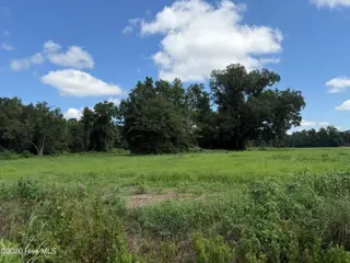 6514 Princess Ann Road, Evergreen, NC 28438 – photo 2: Road Frontage