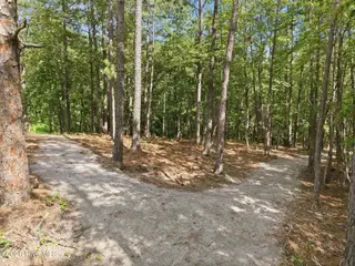 297 Elijah Way, Vass, NC 28394 – photo 18: Jogging Trail 2