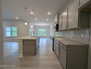 511 Sweet Potato Lane Lot 10, Nashville, NC 27856 – photo 16: view from garage