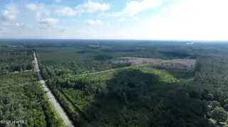 00 General Howe Highway, Riegelwood, NC 28456 – photo 7: tract1makecopy6876