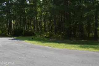 3 Alexander Drive, Belhaven, NC 27810 – photo 8: Lot 3 Alexander Dr