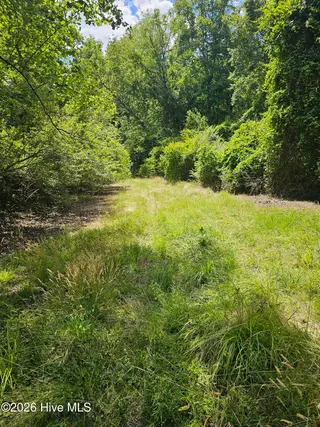 000 Madison Court, Bailey, NC 27807 – photo 6: Madison pic 7