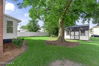 3902 W Wilson Street, Farmville, NC 27828 – photo 23: 3902 Backyard
