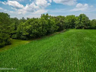 Tbd Farmers Union Road, Clarkton, NC 28433 – photo 11: ClarktonListing_MLS-12