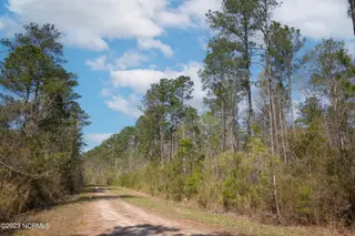 0 Nc-903, Stokes, NC 27884 – photo 16: Stokes Tract 21