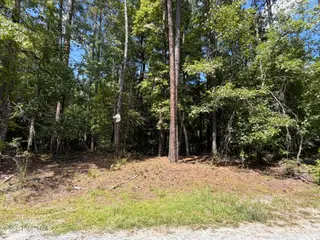 1d Gelding Gap Lane, Carthage, NC 28327 – photo 5: IMG_2198 (1)