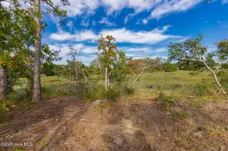 0 Live Oak Street, Beaufort, NC 28516 – photo 15: 9-web-or-mls-chadwick-visuals-1-trestle-