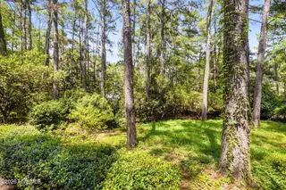 102 James Creek Road, Southern Pines, NC 28387 – photo 20: 44-web-or-mls-2B5A9850