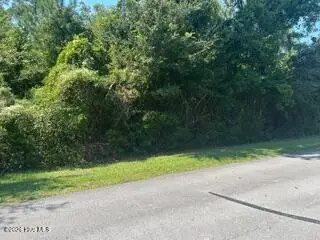 5705 425 Gondolier Drive, New Bern, NC 28560 – photo 3: IMG_0849