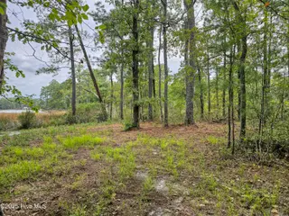 Lot 77 77 Mcgowan Road, Bath, NC 27808 – photo 10: 20250908_155148b