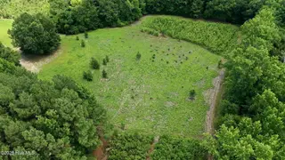 893 Cox Avenue, Rocky Mount, NC 27801 – photo 11: 9-web-or-mls-DJI_20260708132317_0576_D