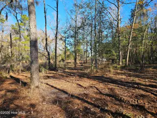 47 Sunset Point Road, Belhaven, NC 27810 – photo 7: 20251209_141515