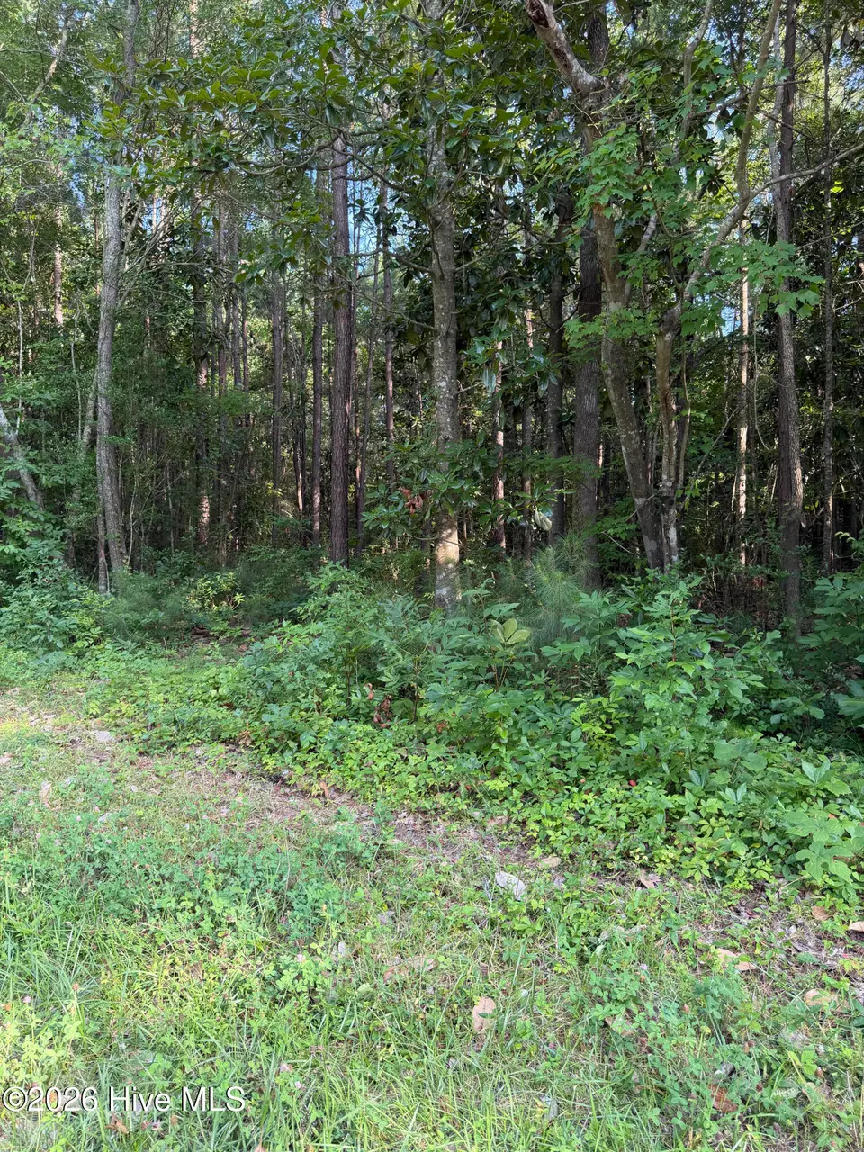 1185 1 Green Springs Road, New Bern, NC 28560 – photo 1 of 3: 1185 Green Springs Road