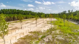 Havelock – photo 5: aerial