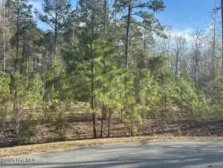 607 Pamlico River Drive, Washington, NC 27889 – photo 6: Roadfront